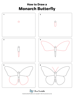How to Draw a Monarch Butterfly