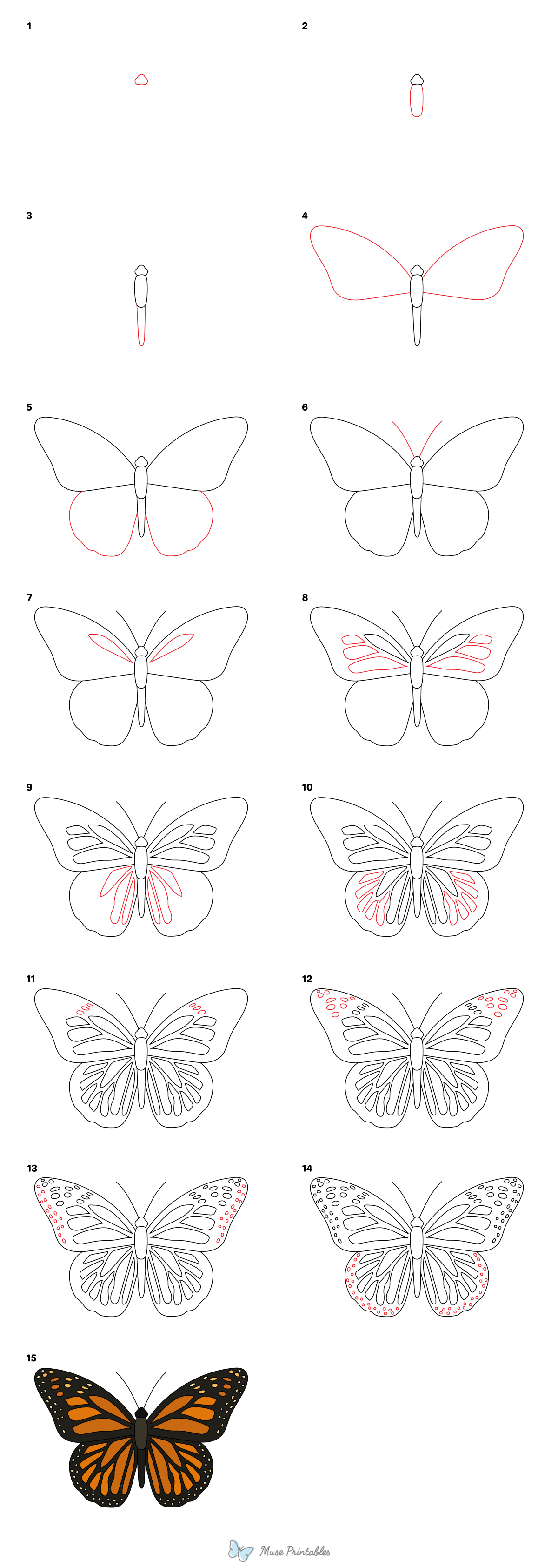How to Draw a Monarch Butterfly - Printable Tutorial