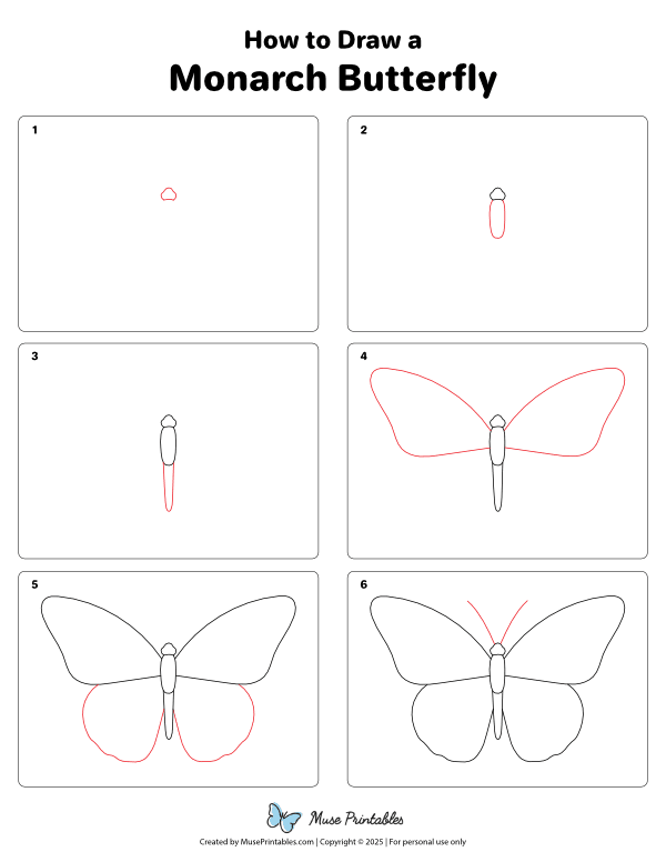 How to Draw a Monarch Butterfly - Printable Tutorial