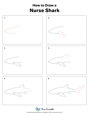 How to Draw a Nurse Shark