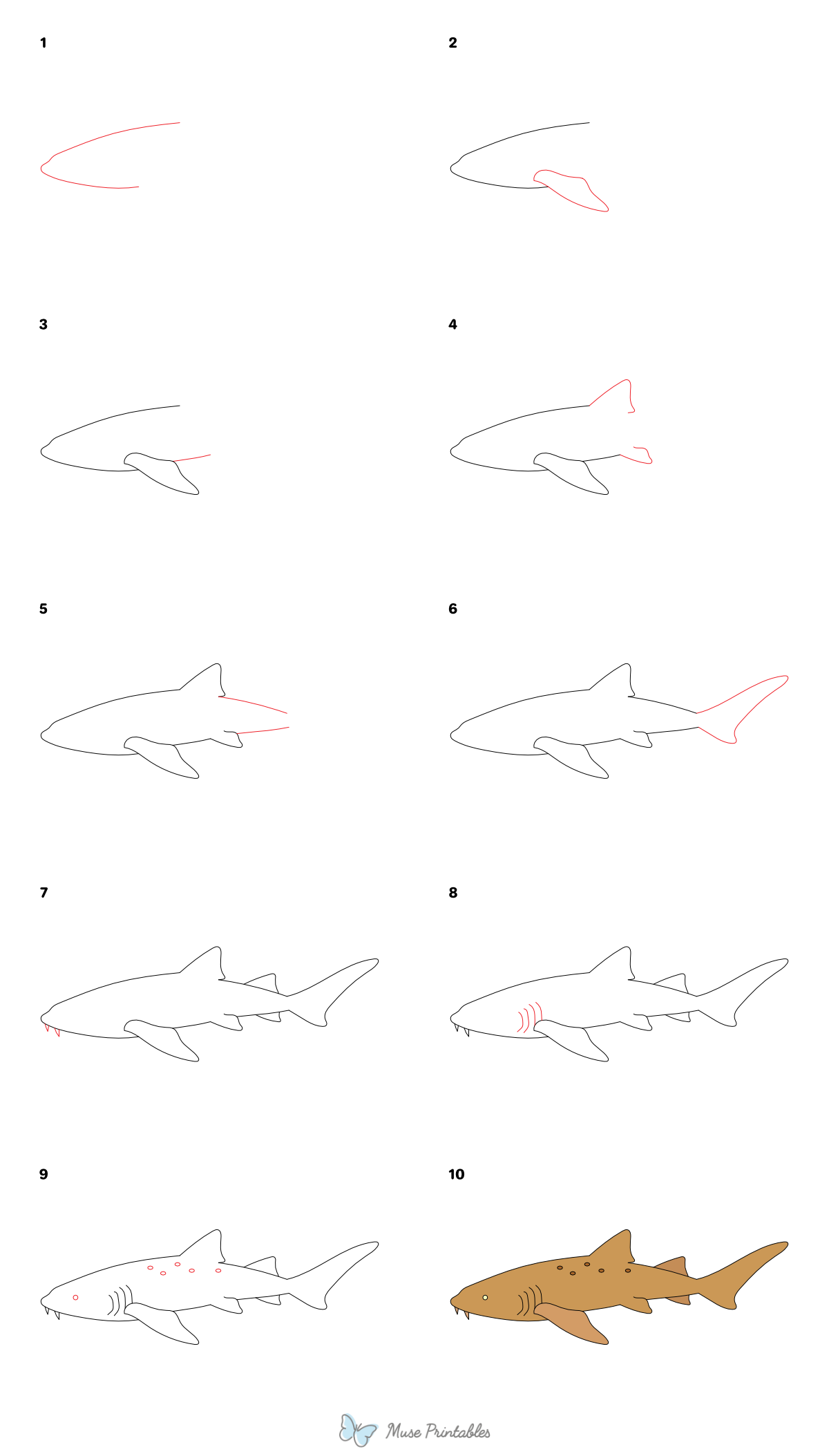 How to Draw a Nurse Shark - Printable Tutorial