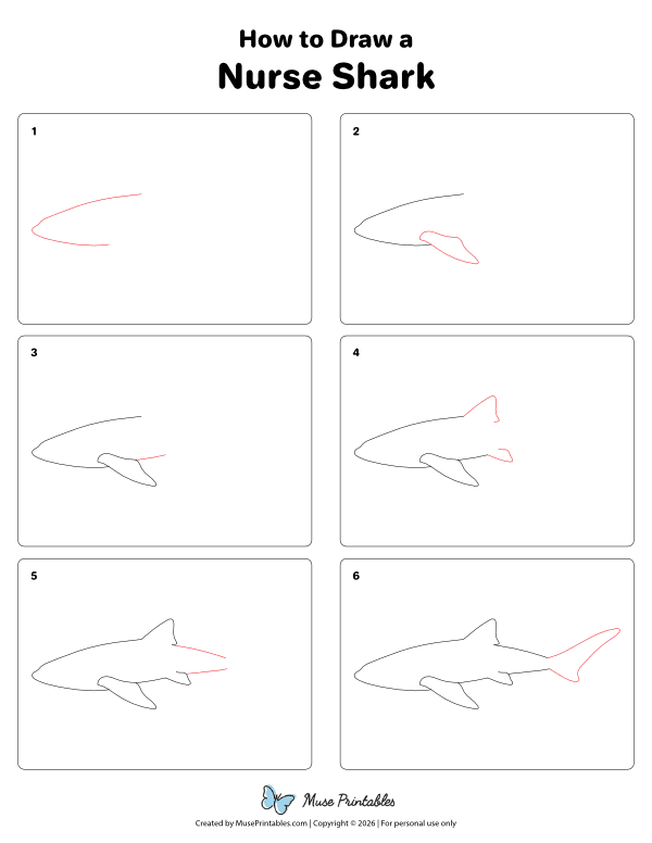 How to Draw a Nurse Shark - Printable Tutorial