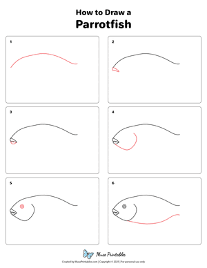 How to Draw a Parrotfish