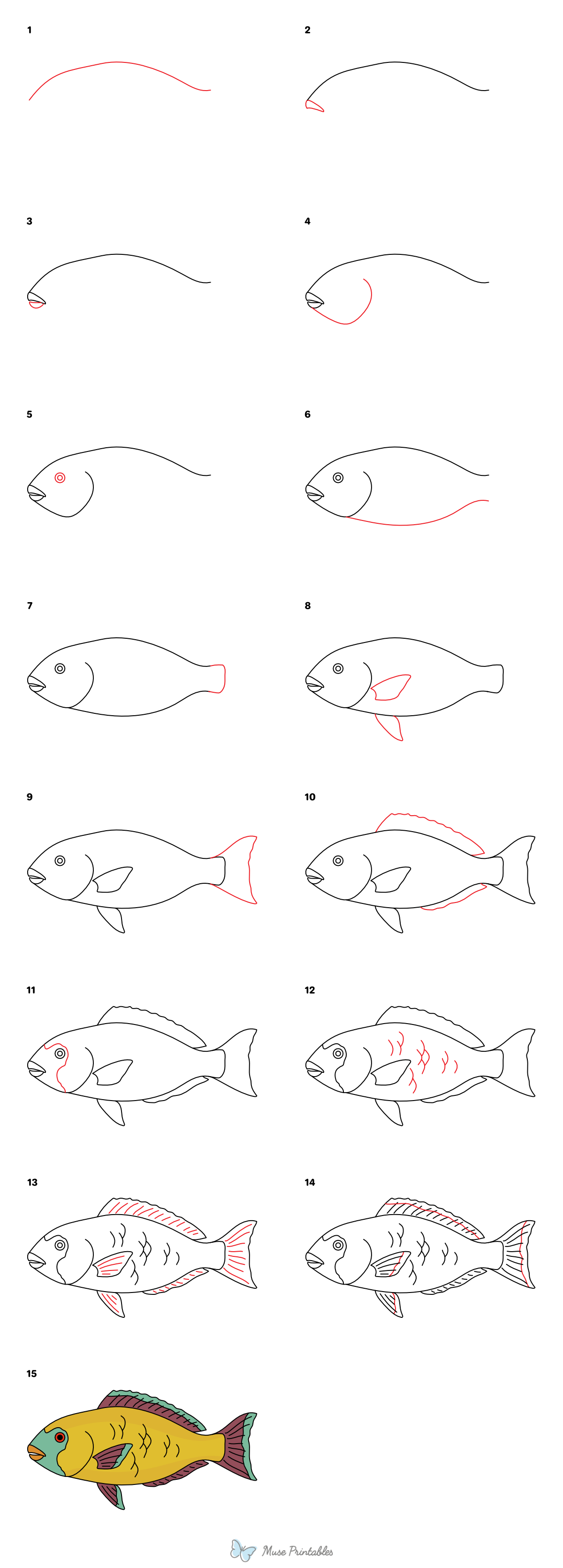 How to Draw a Parrotfish - Printable Tutorial