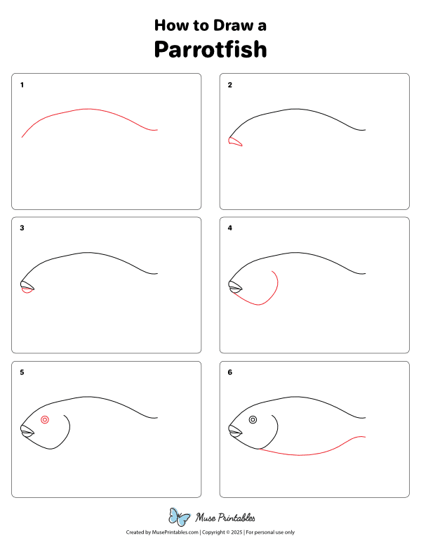 How to Draw a Parrotfish - Printable Tutorial
