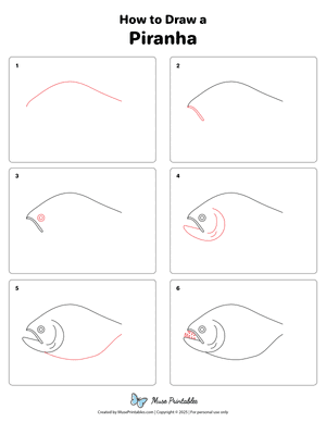 How to Draw a PIranha