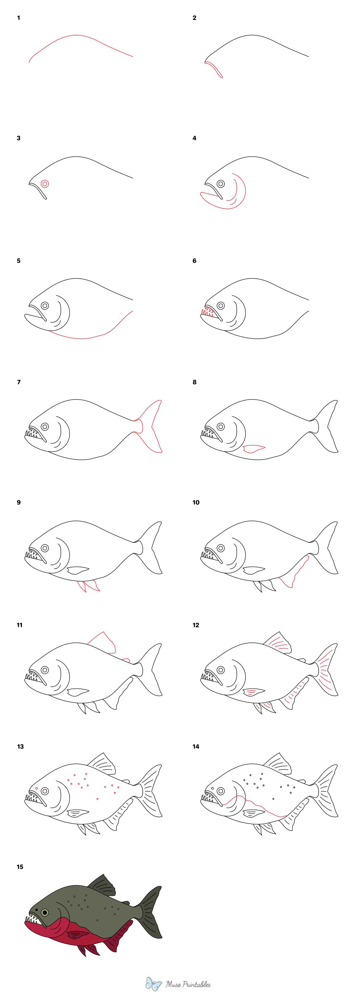 How to Draw a PIranha - Printable Tutorial