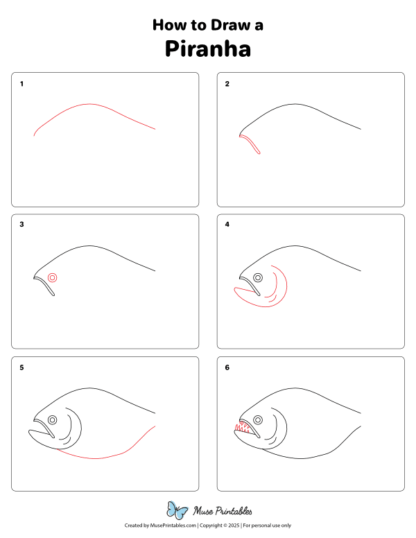 How to Draw a PIranha - Printable Tutorial