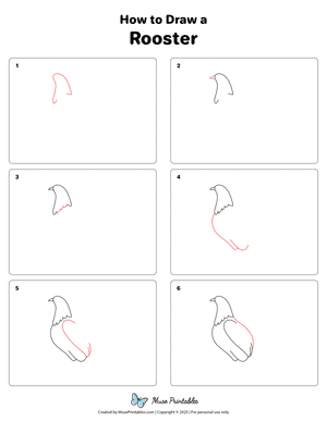 How to Draw a Rooster