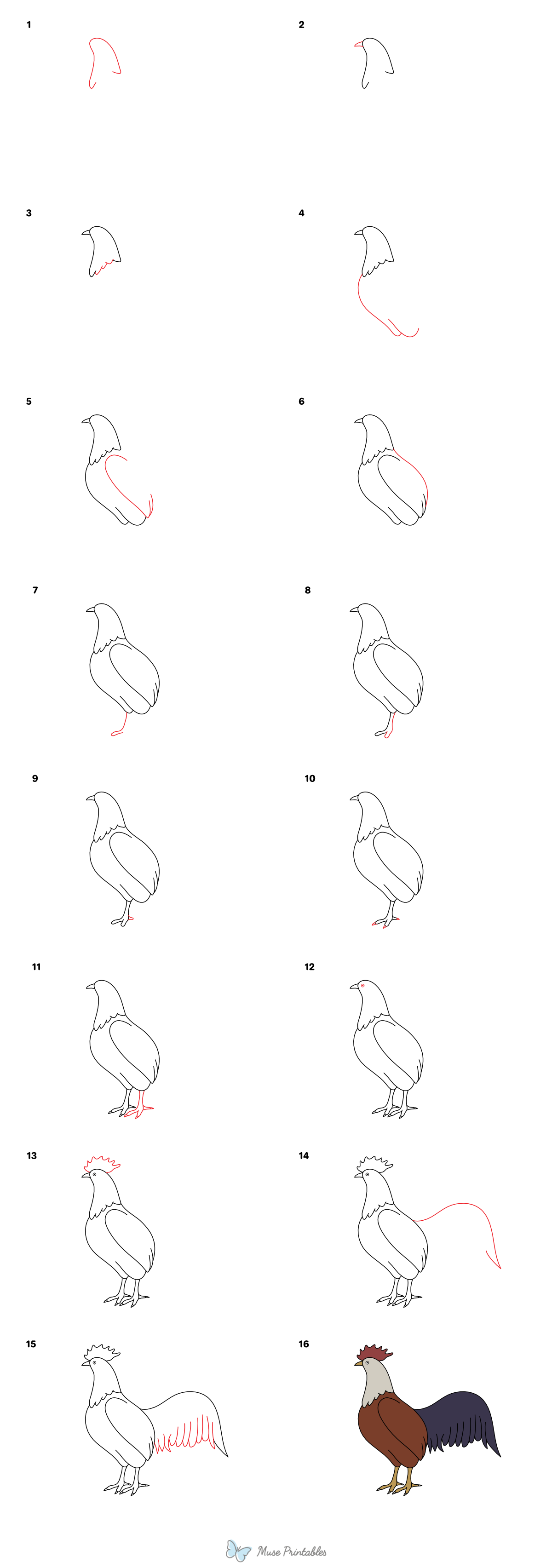 How to Draw a Rooster - Printable Tutorial