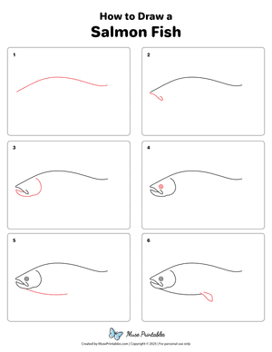 How to Draw a Salmon Fish