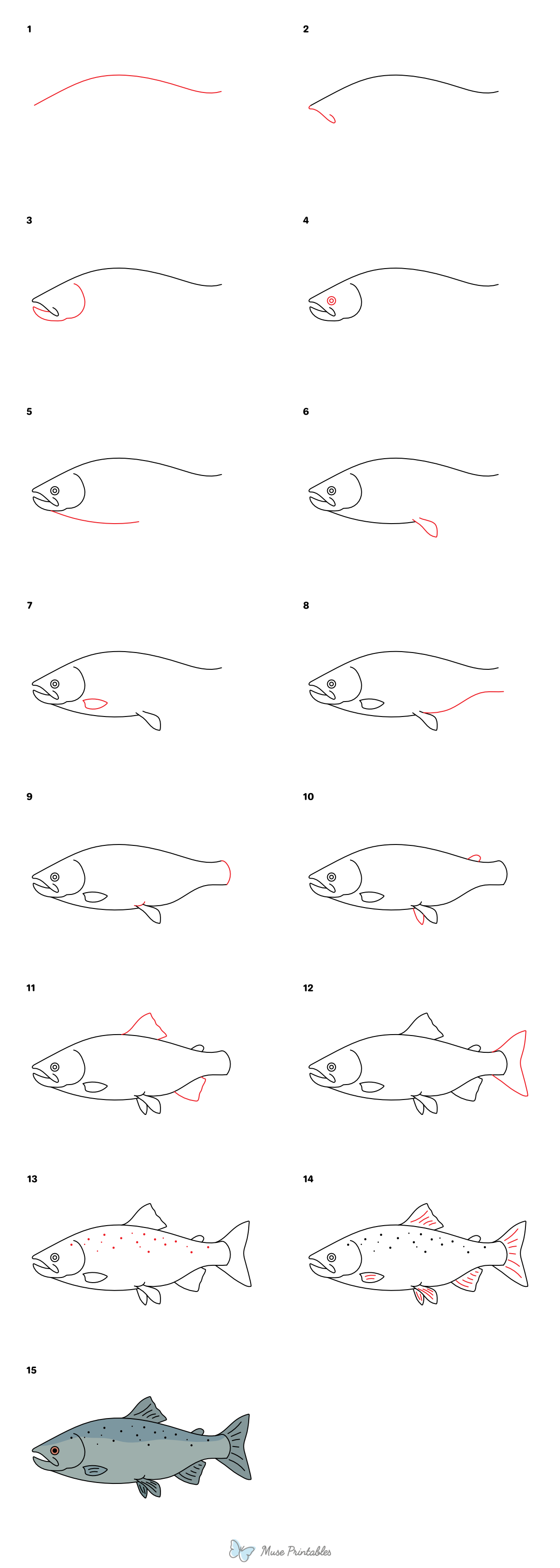 How to Draw a Salmon Fish - Printable Tutorial