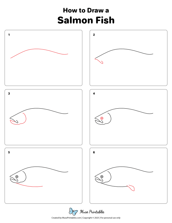 How to Draw a Salmon Fish - Printable Tutorial