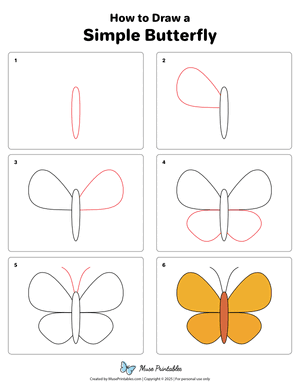 How to Draw a Simple Butterfly