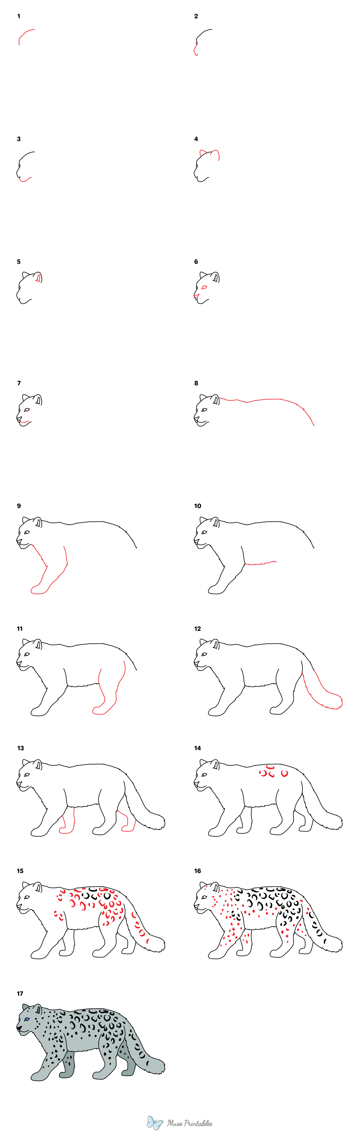 How to Draw a Snow Leopard - Printable Tutorial