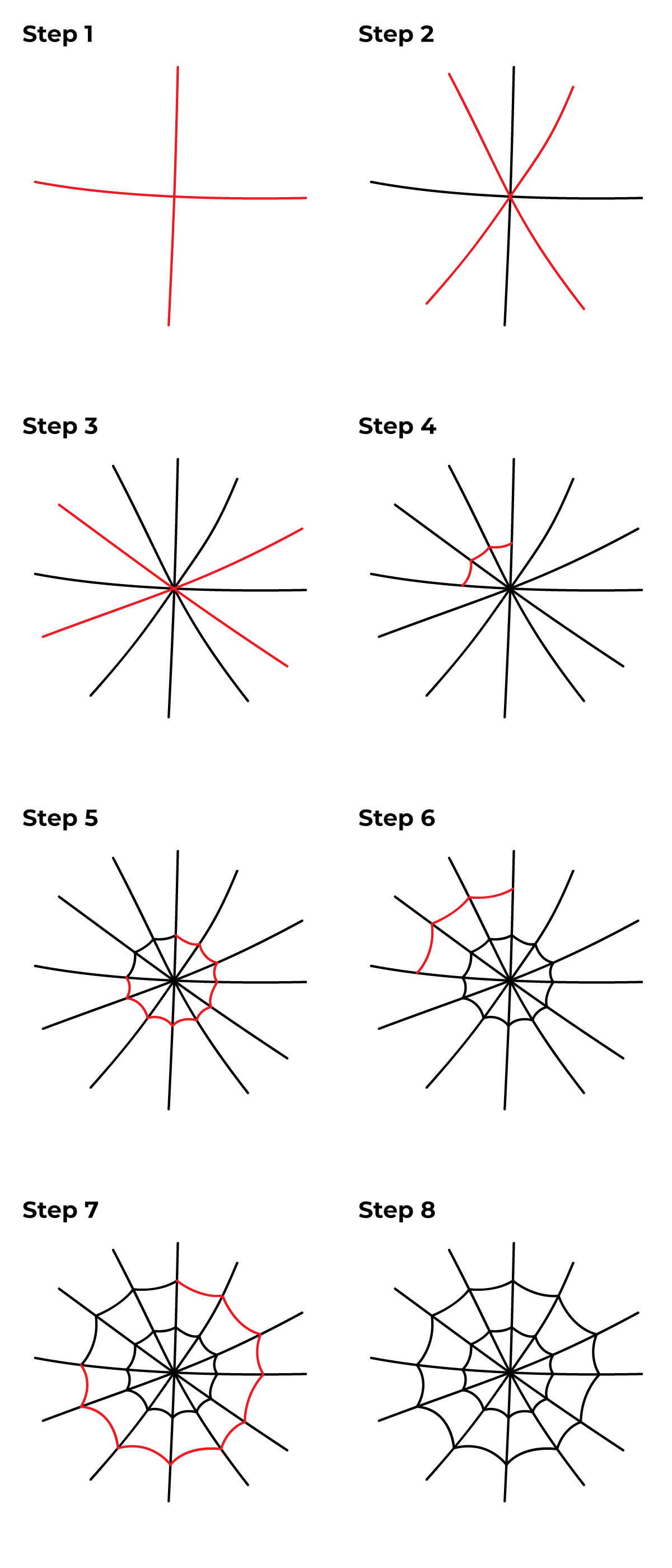 How To Draw a Spider Web Step by Step
