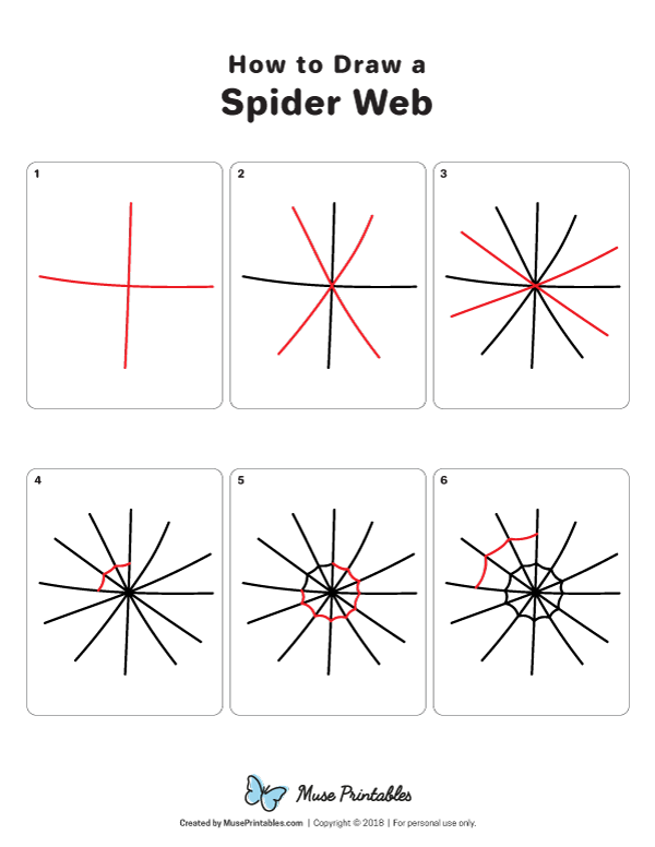 How To Draw a Simple Spider Web 