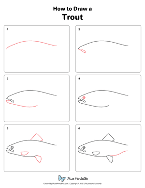 How to Draw a Trout