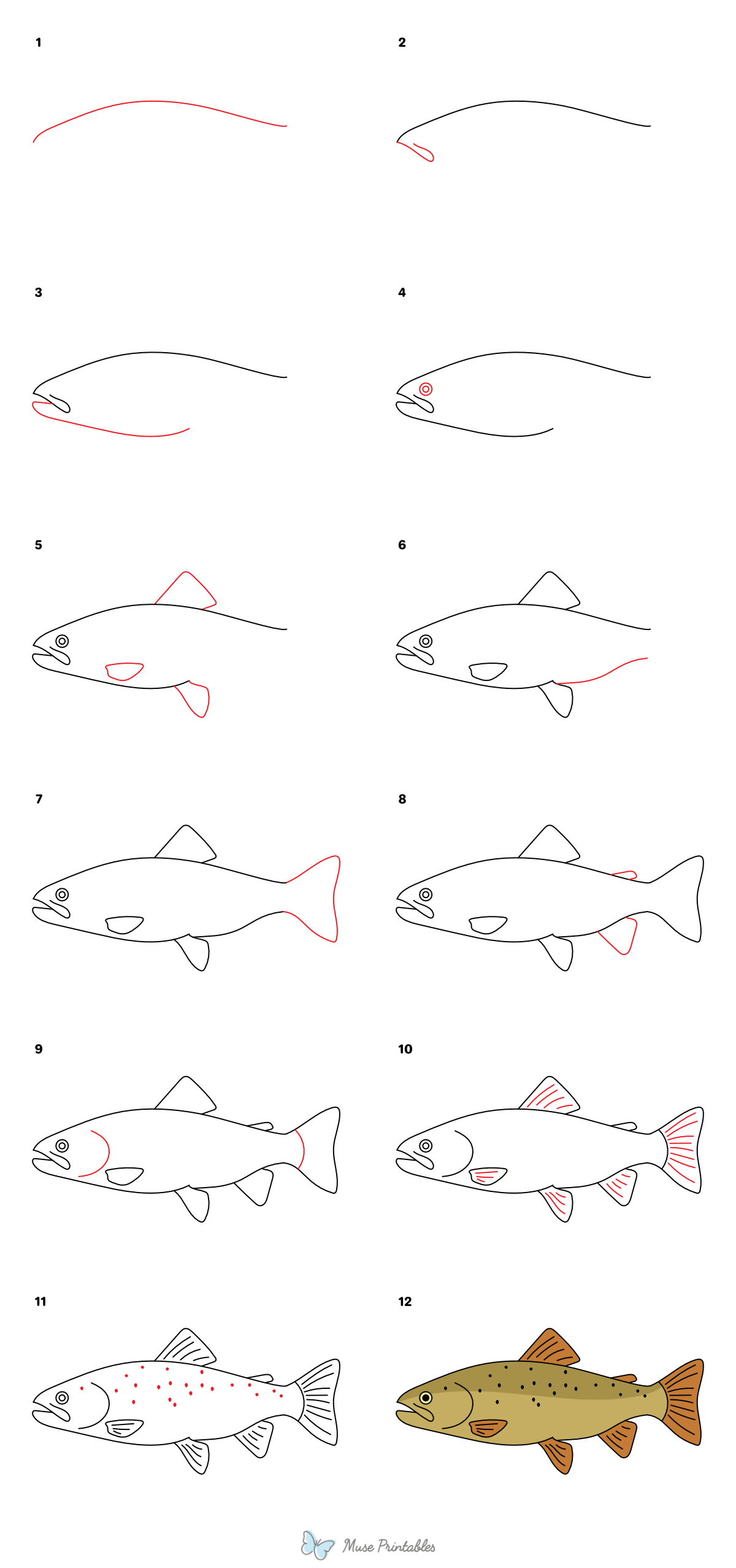 How to Draw a Trout - Printable Tutorial