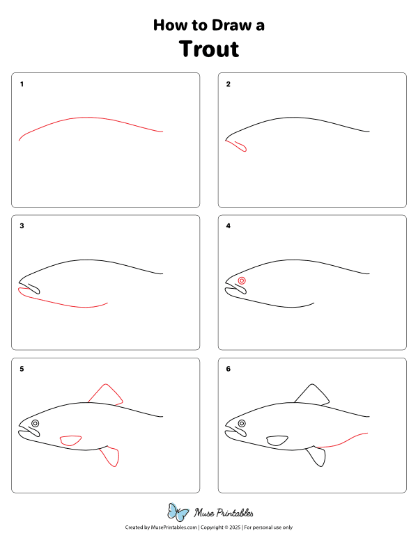 How to Draw a Trout - Printable Tutorial