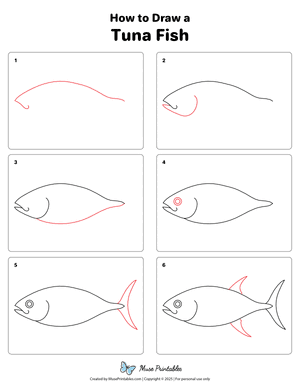 How to Draw a Tuna Fish