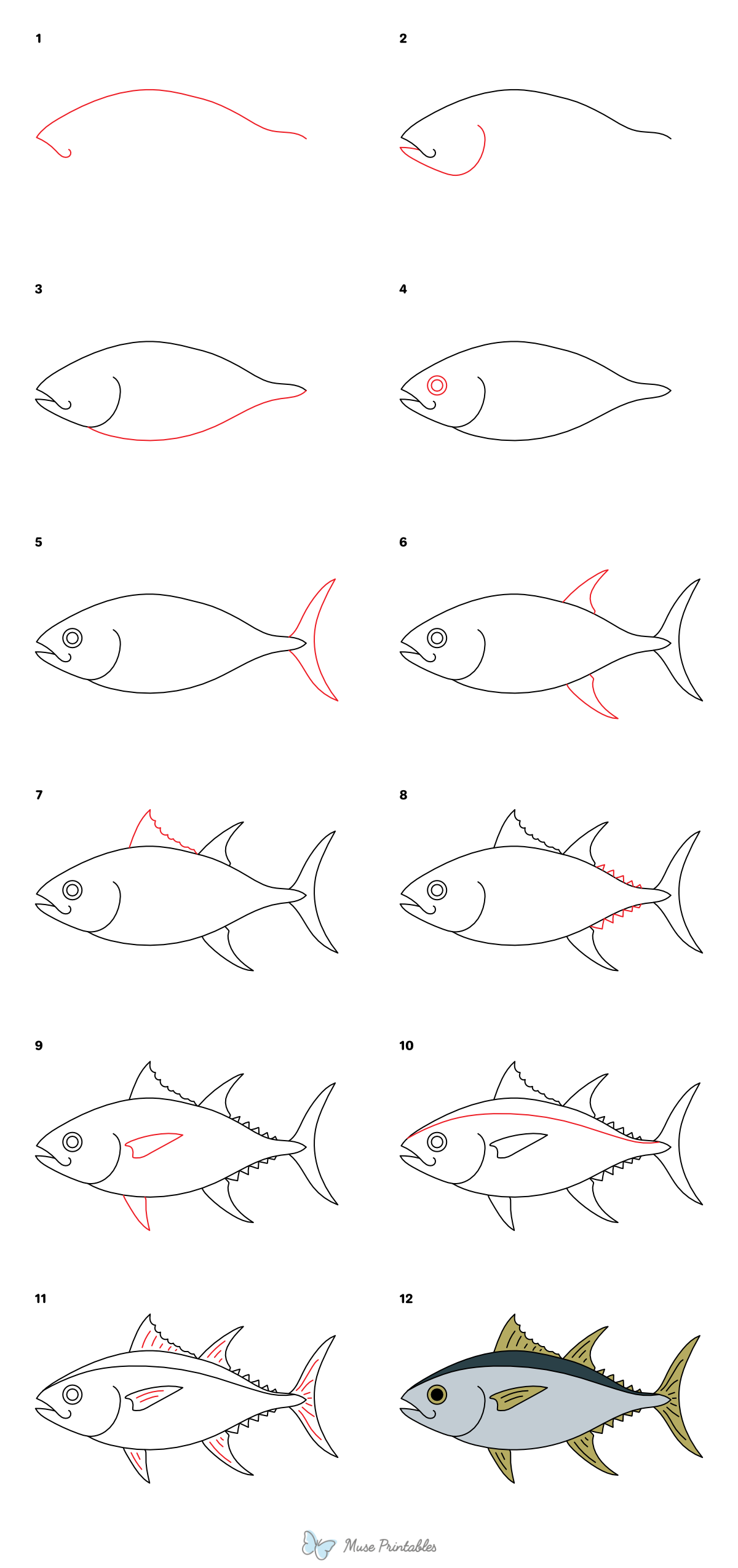 How to Draw a Tuna Fish - Printable Tutorial