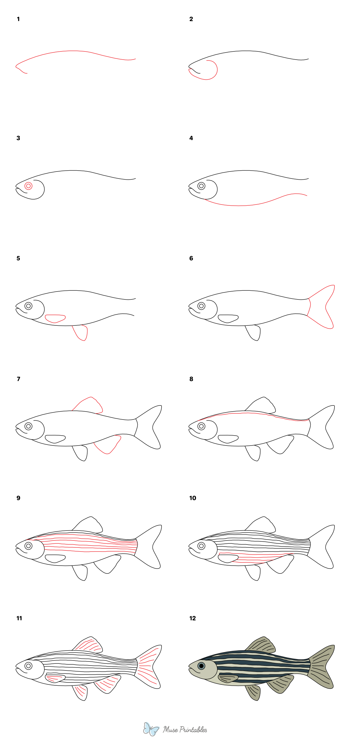 How to Draw a Zebra Fish - Printable Tutorial