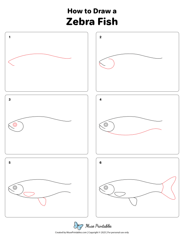 How to Draw a Zebra Fish - Printable Tutorial