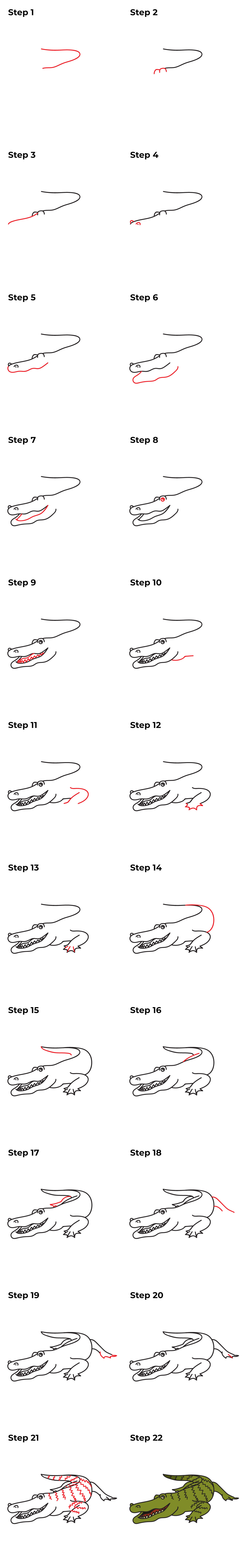 How to Draw an Alligator - Printable Tutorial
