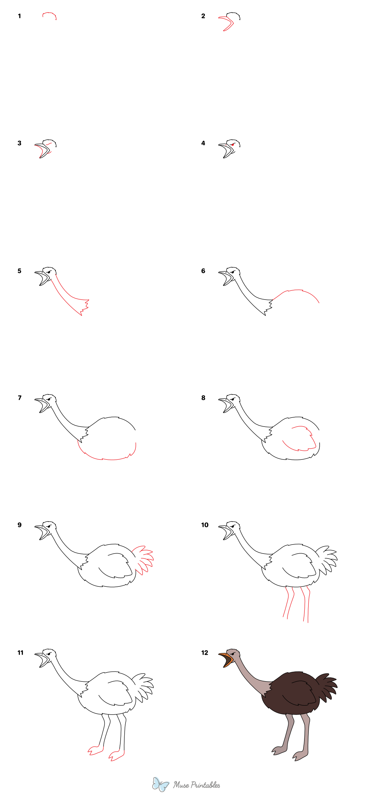How to Draw an Angry Ostrich - Printable Tutorial