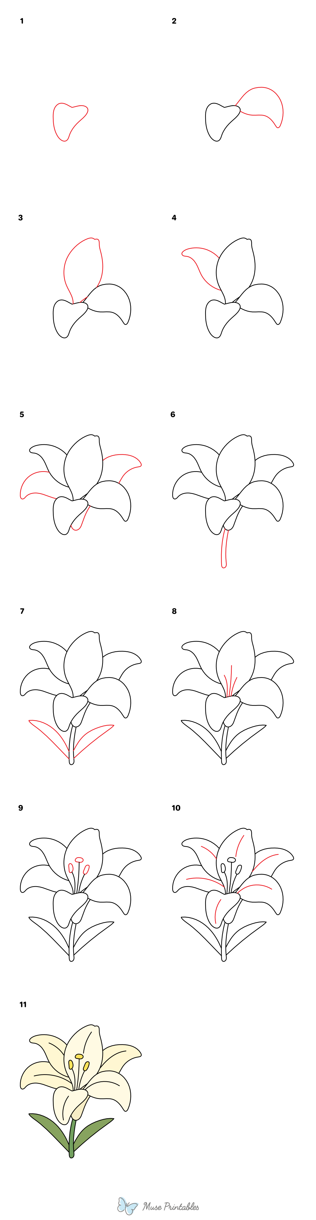 How to Draw an Easter Lily - Printable Tutorial