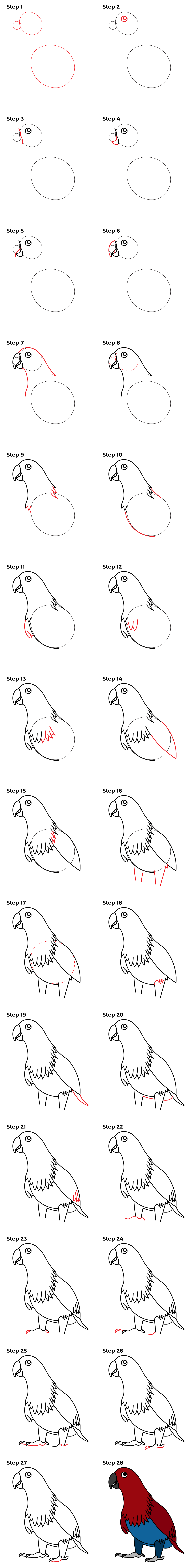 How to Draw an Eclectus Parrot - Printable Tutorial