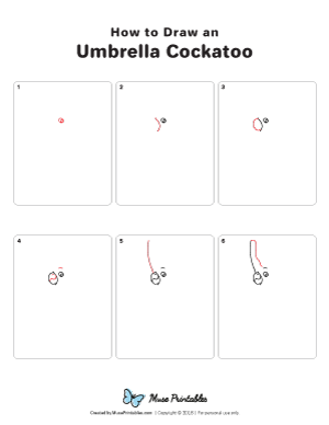 How to Draw an Umbrella Cockatoo