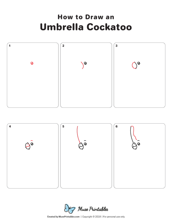 How to Draw an Umbrella Cockatoo - Printable Tutorial