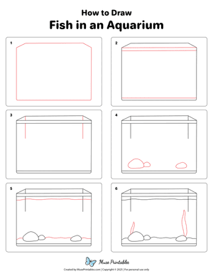 How to Draw  Fish in an Aquarium