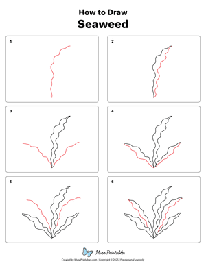 How to Draw  Seaweed