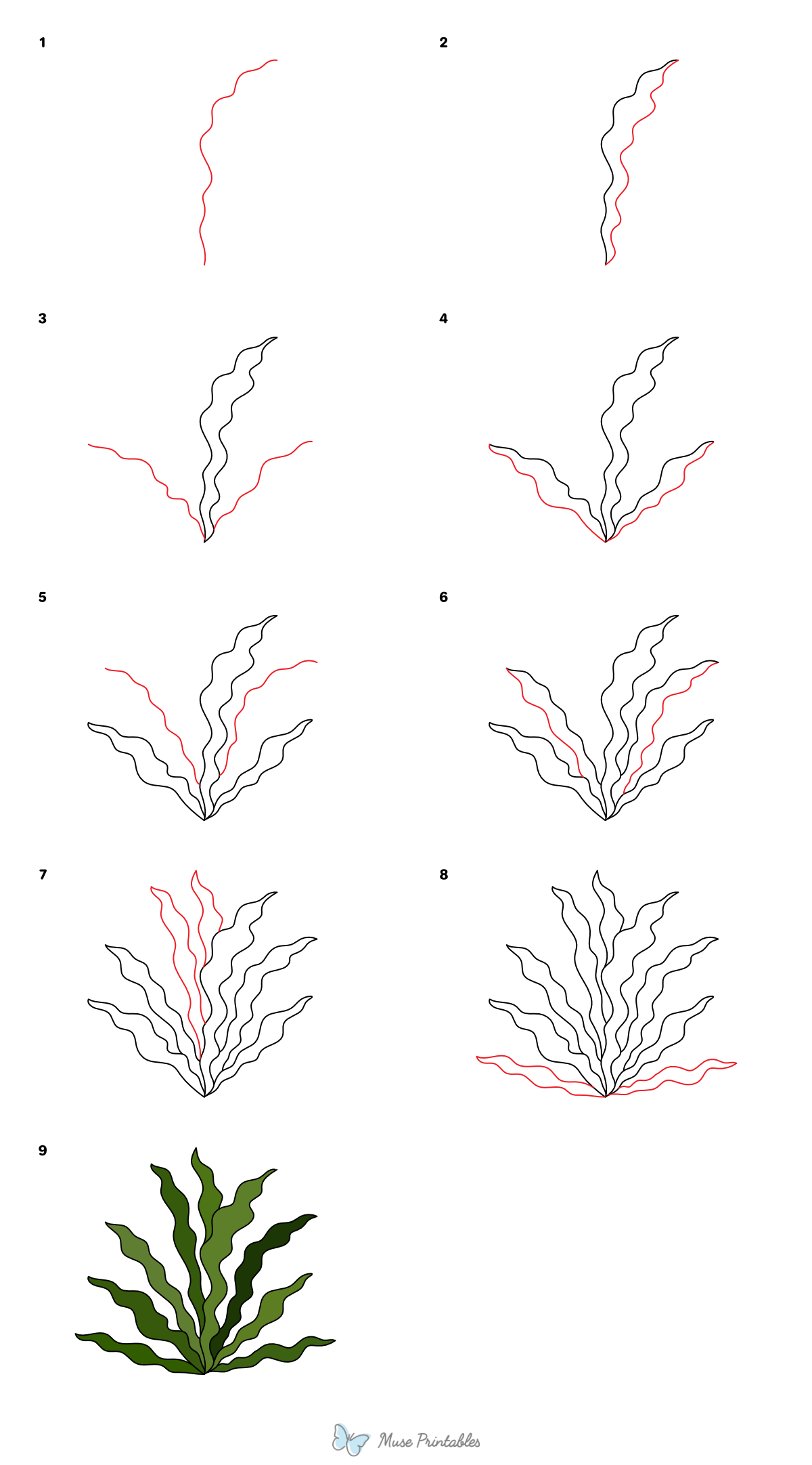 How to Draw  Seaweed - Printable Tutorial
