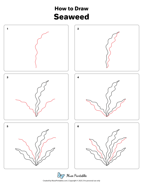 How to Draw  Seaweed - Printable Tutorial