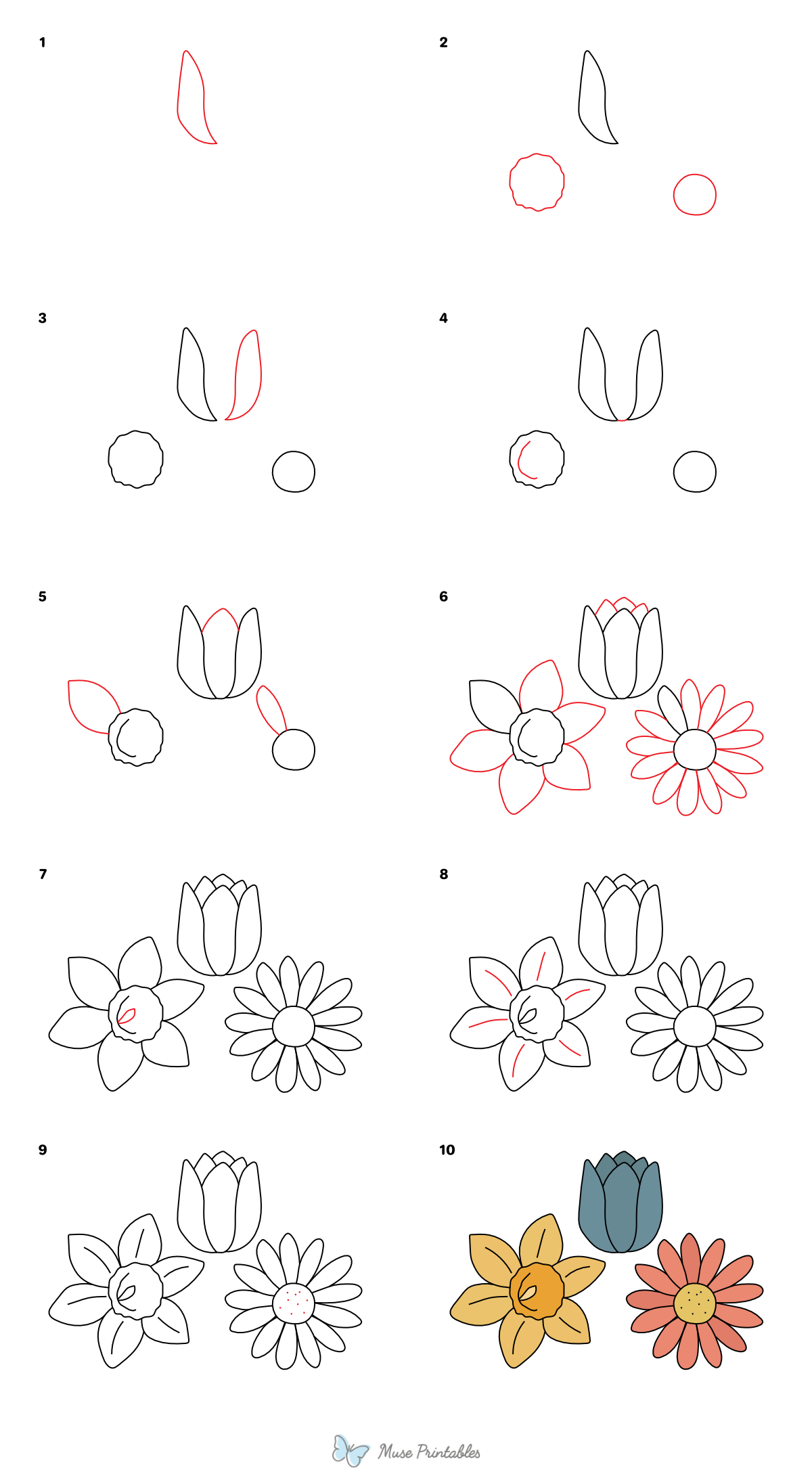 How to Draw  Spring Flowers - Printable Tutorial