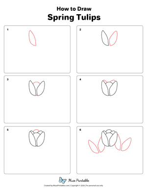 How to Draw  Spring Tulips