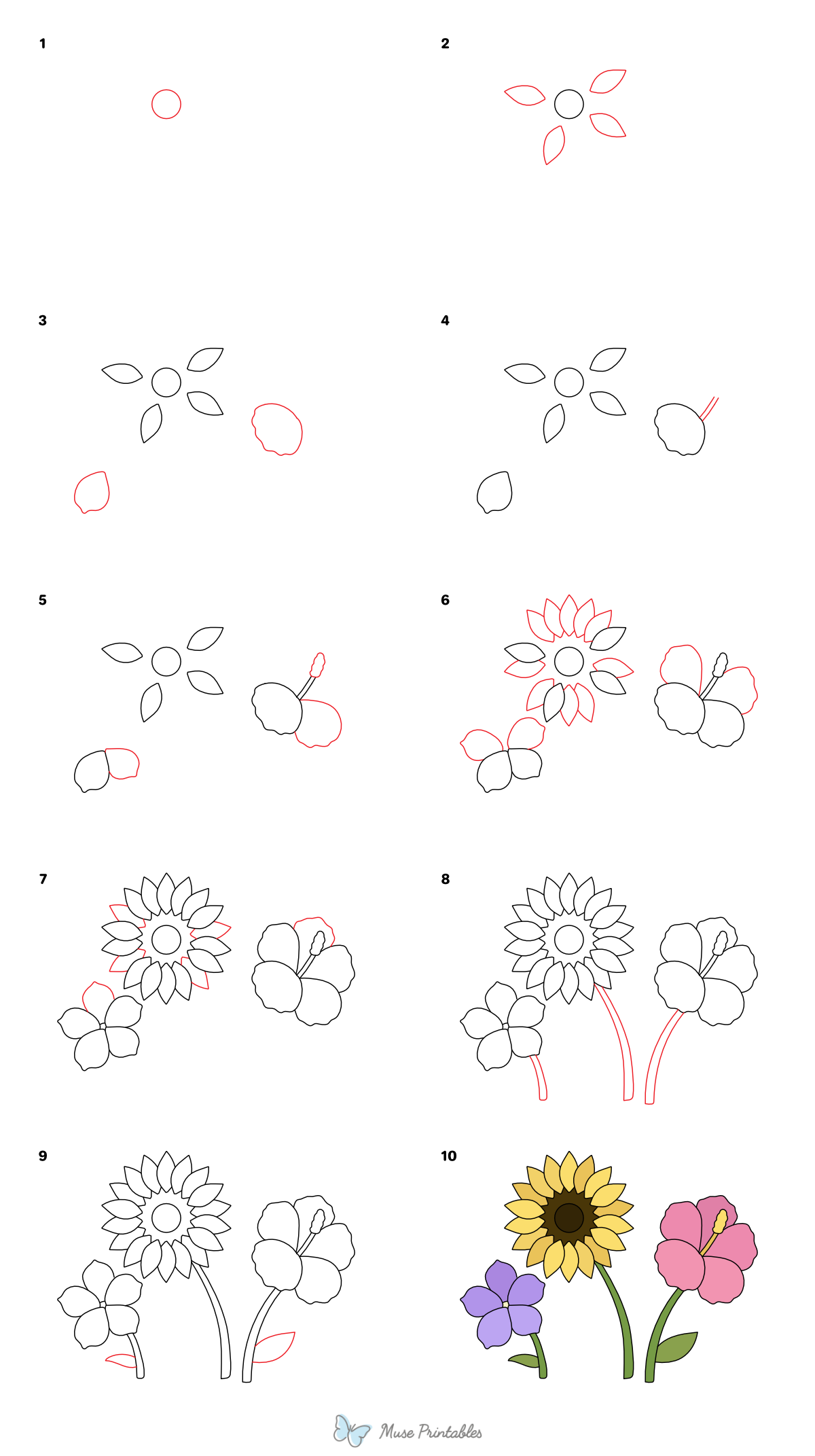 How to Draw  Summer Flowers - Printable Tutorial