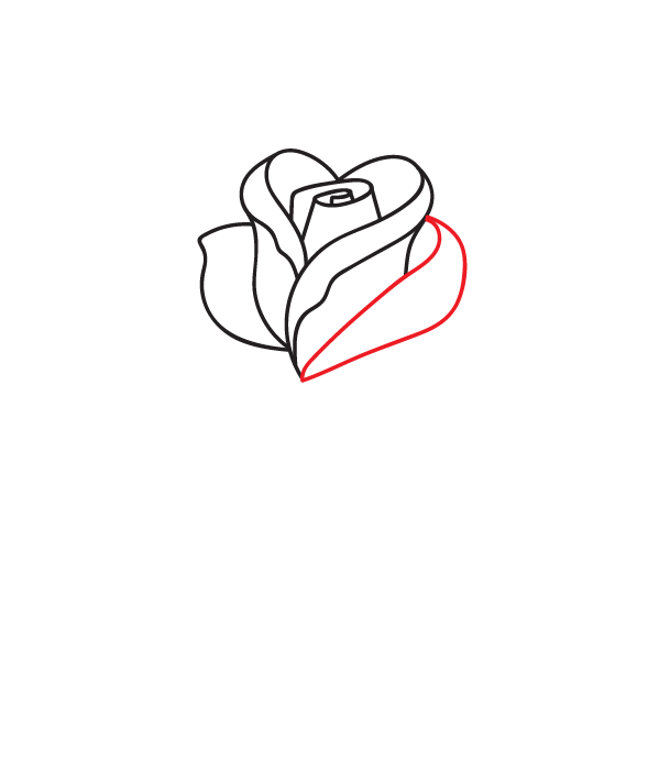 How to Draw a Rose