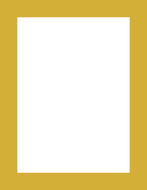 Gold Solid Border