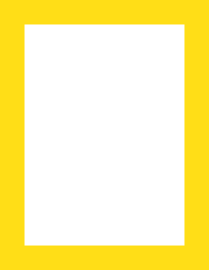 Yellow Solid Border