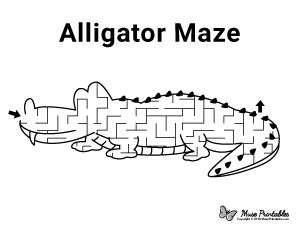 Alligator Maze