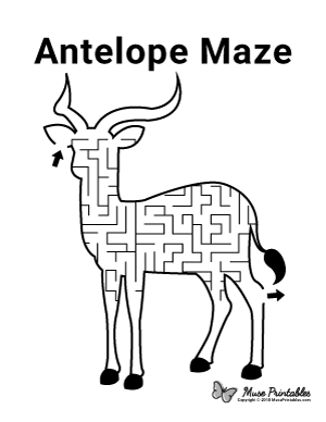 Antelope Maze