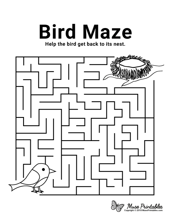 Bird Maze - easy
