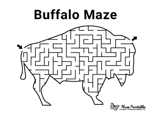 Buffalo Maze