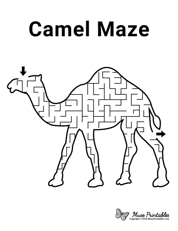 Camel Maze - easy