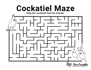 Cockatiel Maze